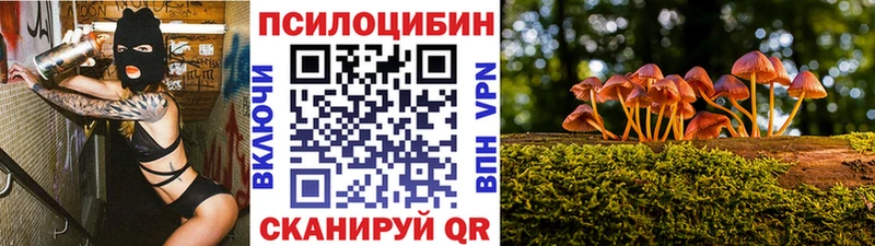 наркошоп  Усть-Кут  Псилоцибиновые грибы прущие грибы 